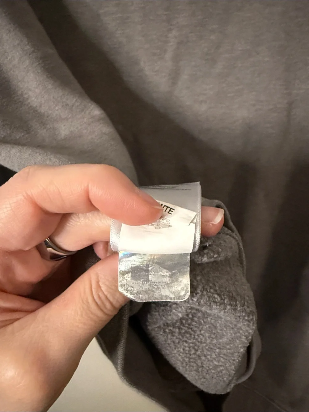 The North Face Bearscape Hoodie Hooded Sweatshirt